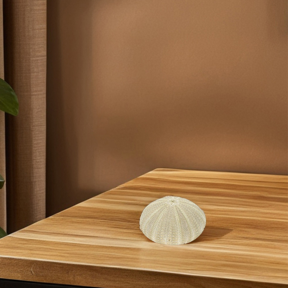 18個入りウニの殻 花瓶の装飾材 天然素材 ホームデコレーシ - Art Craft Project のレビューと価格