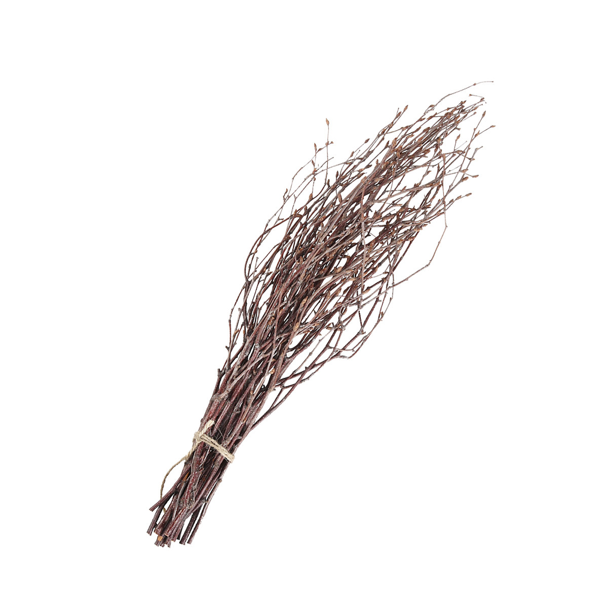 10本入り 樺の枝 天然乾燥枝 40cm 木製スティック 写 - Art Craft Stick のレビューと価格